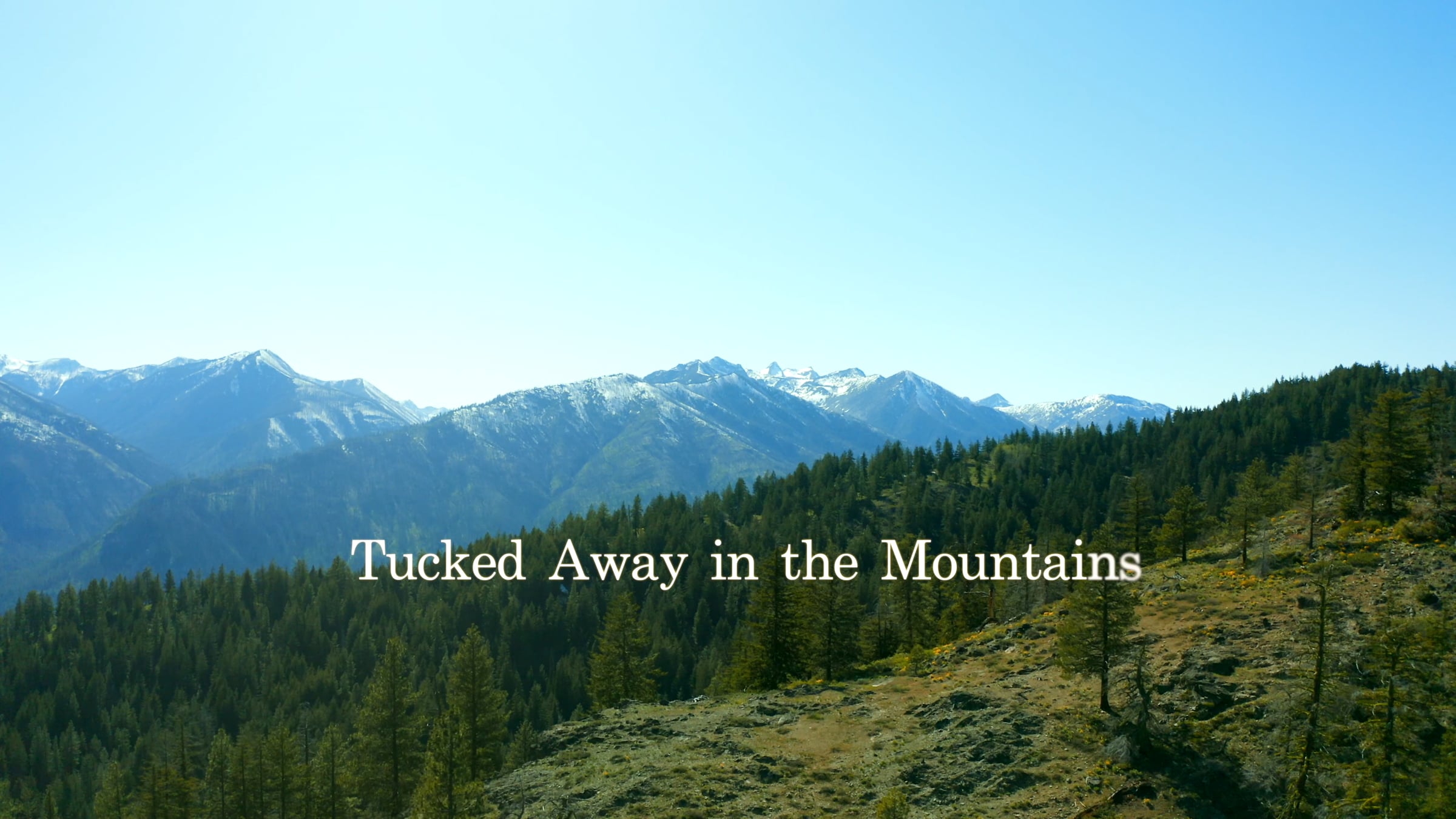 Flying X Ranch: Lifestyle Video | Videos & Movies on Vimeo