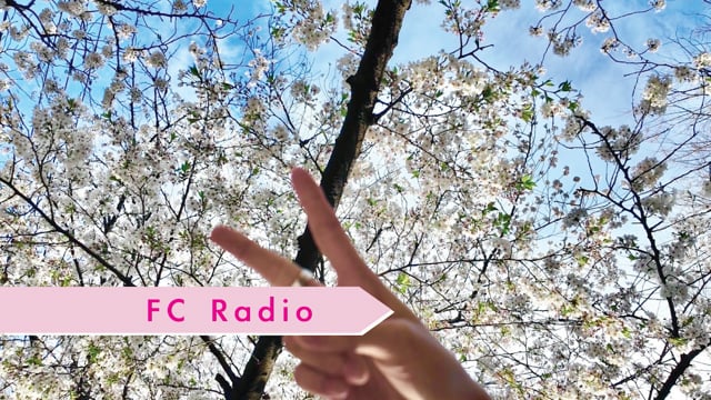 第13回