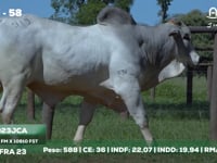 Lote 58