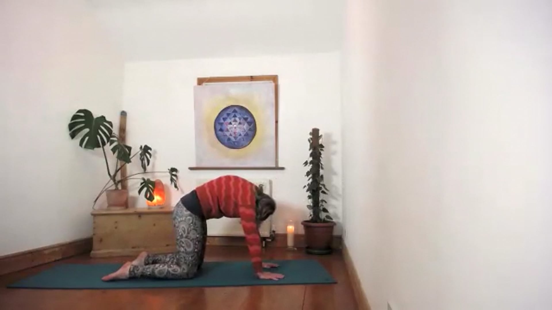 Multilevel wk 3 Strength and Stability