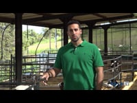 “Con el nuevo programa vacunal se han reducido la mortalidad y la morbilidad, y los animales enfermos se recuperan más rápido”