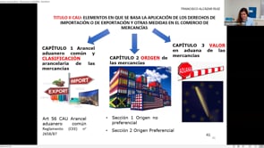 Jornada - Declaraciones y Deuda Aduanera