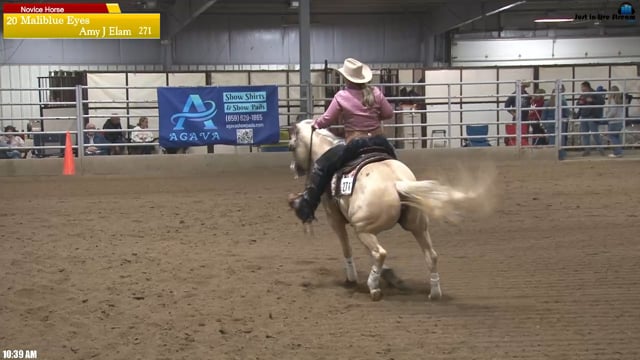 #271 Amy J Elam
