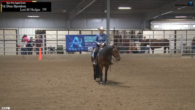 #378 Lori M Hedges (2)