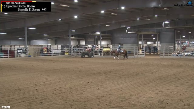 #445 Bryndle K Sveen