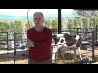 "Contamos con técnicos que nos asesoran en nutrición, manejo y protocolos, para minimizar así el impacto de cualquier enfermedad"