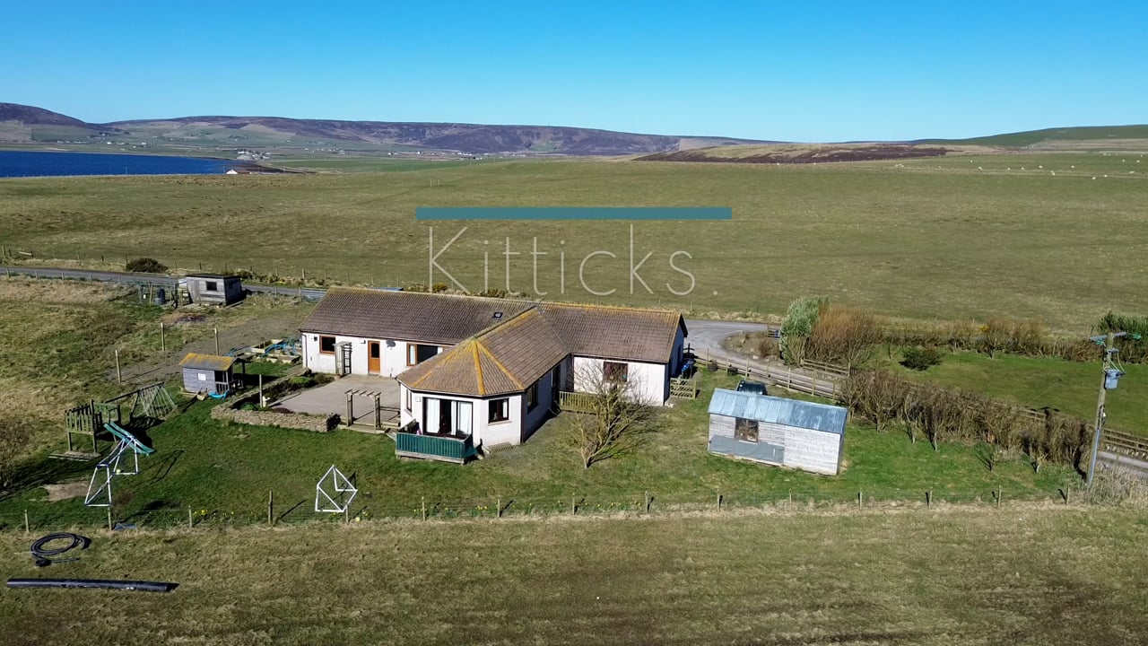 Kitticks