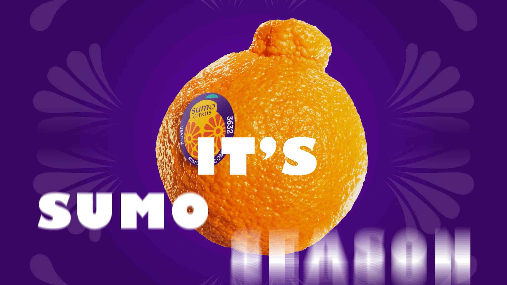 Sumo Citrus