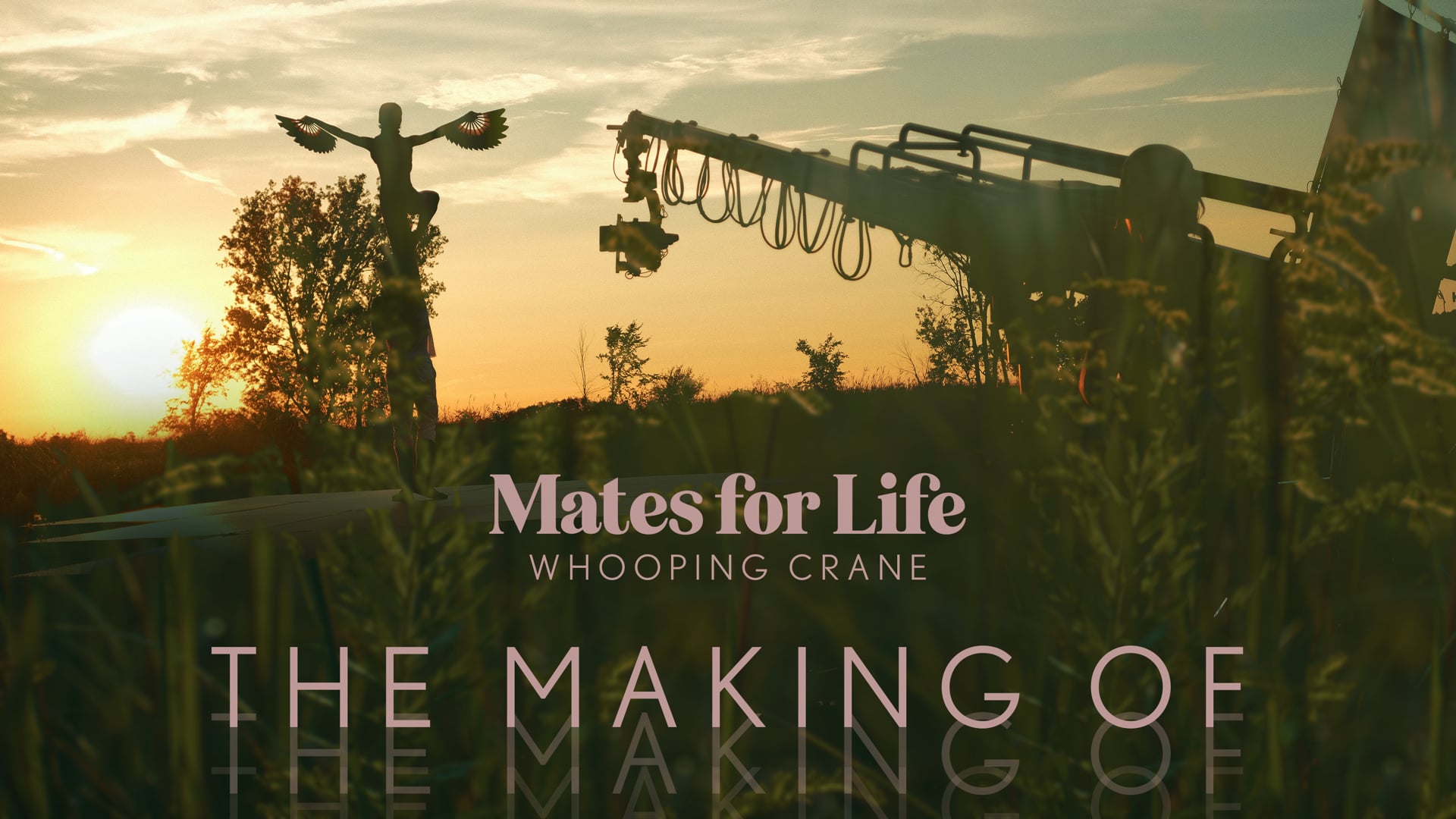 THE MAKING OF | Mates for Life