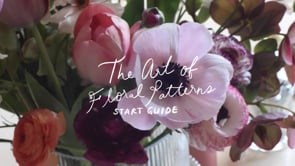 Start Here Guide