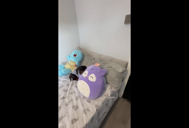 One bedroom share available to rent  Main Photo