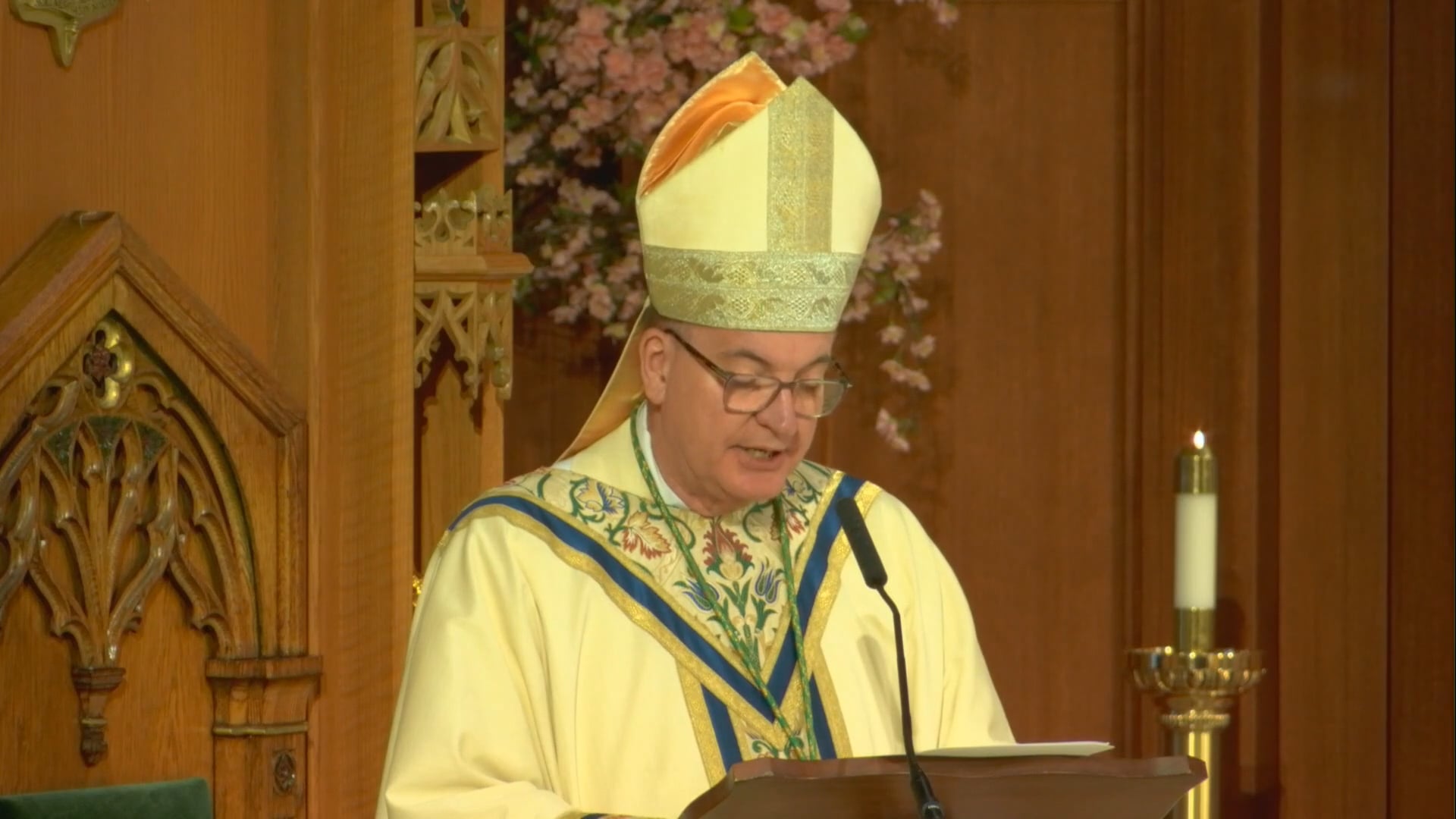 Bishop Barres' Homily on Pope Leo XIV