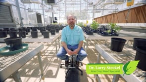 Related Embedded Video Item Thumbnail