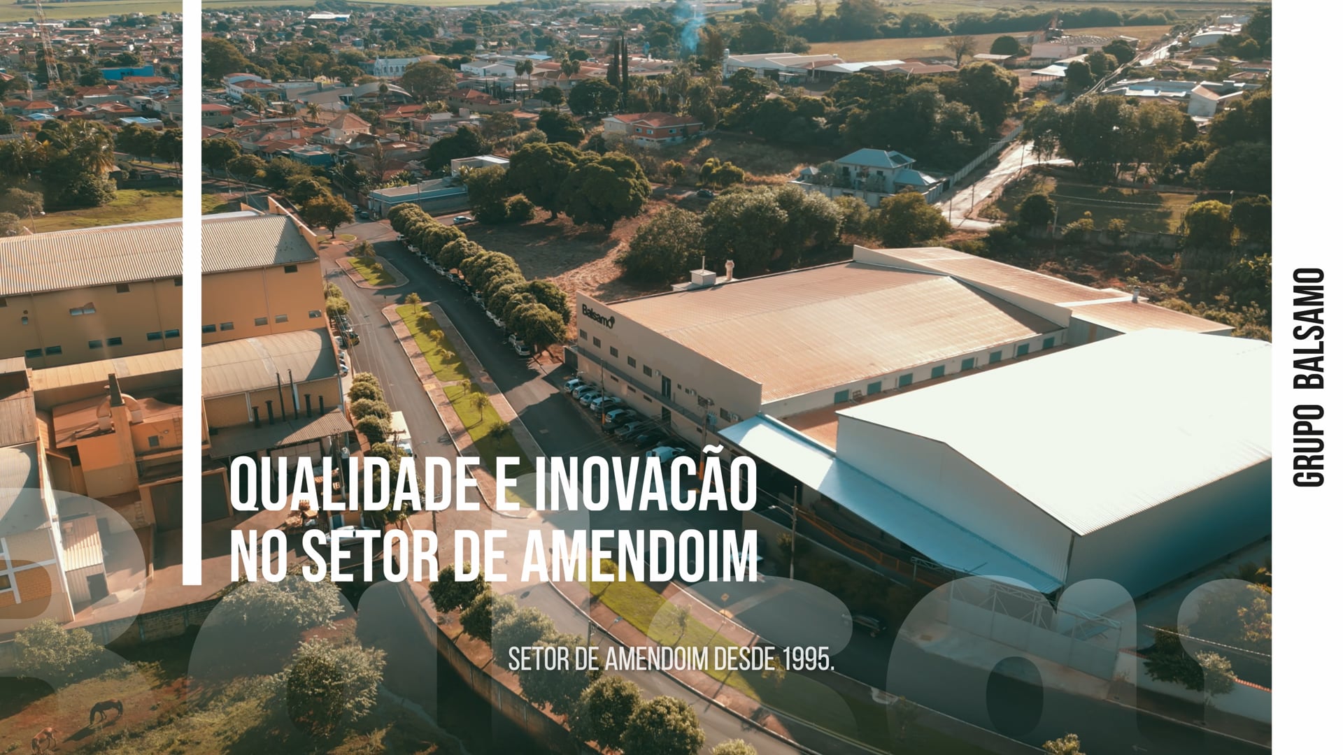 Institucional Balsamo