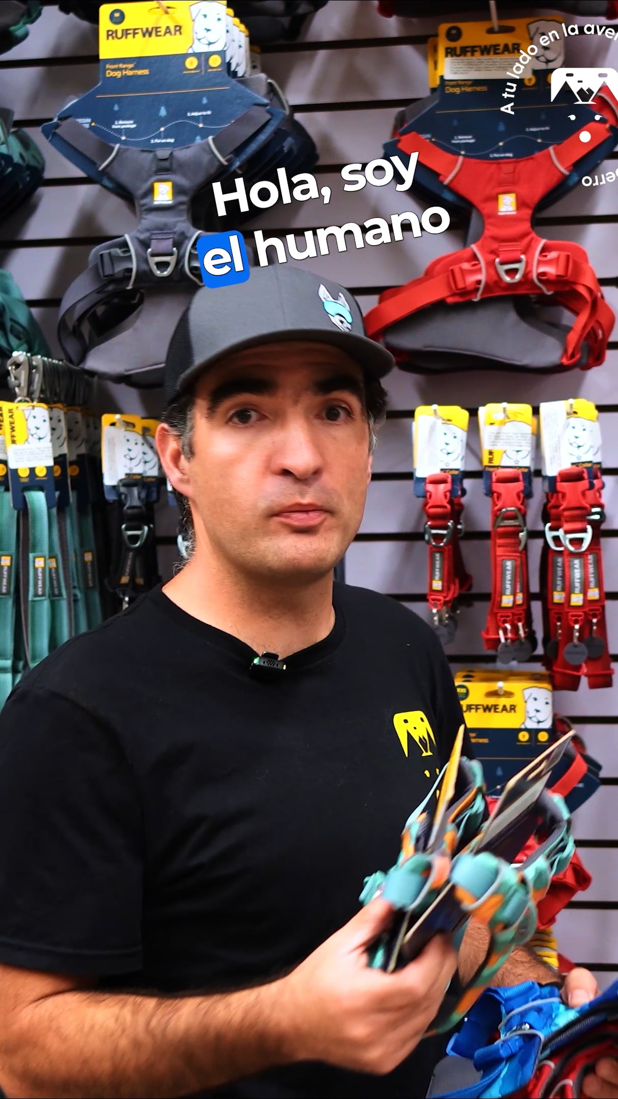 Politicas de envio (9x16)