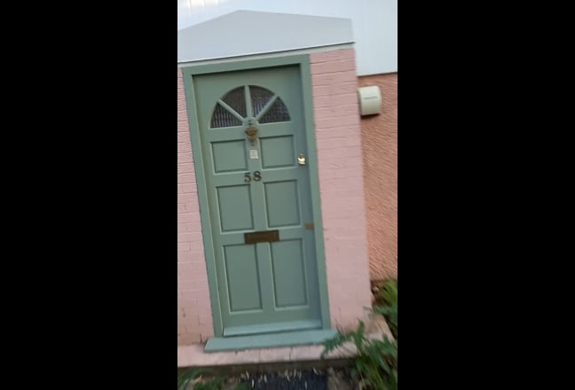 Video 1: