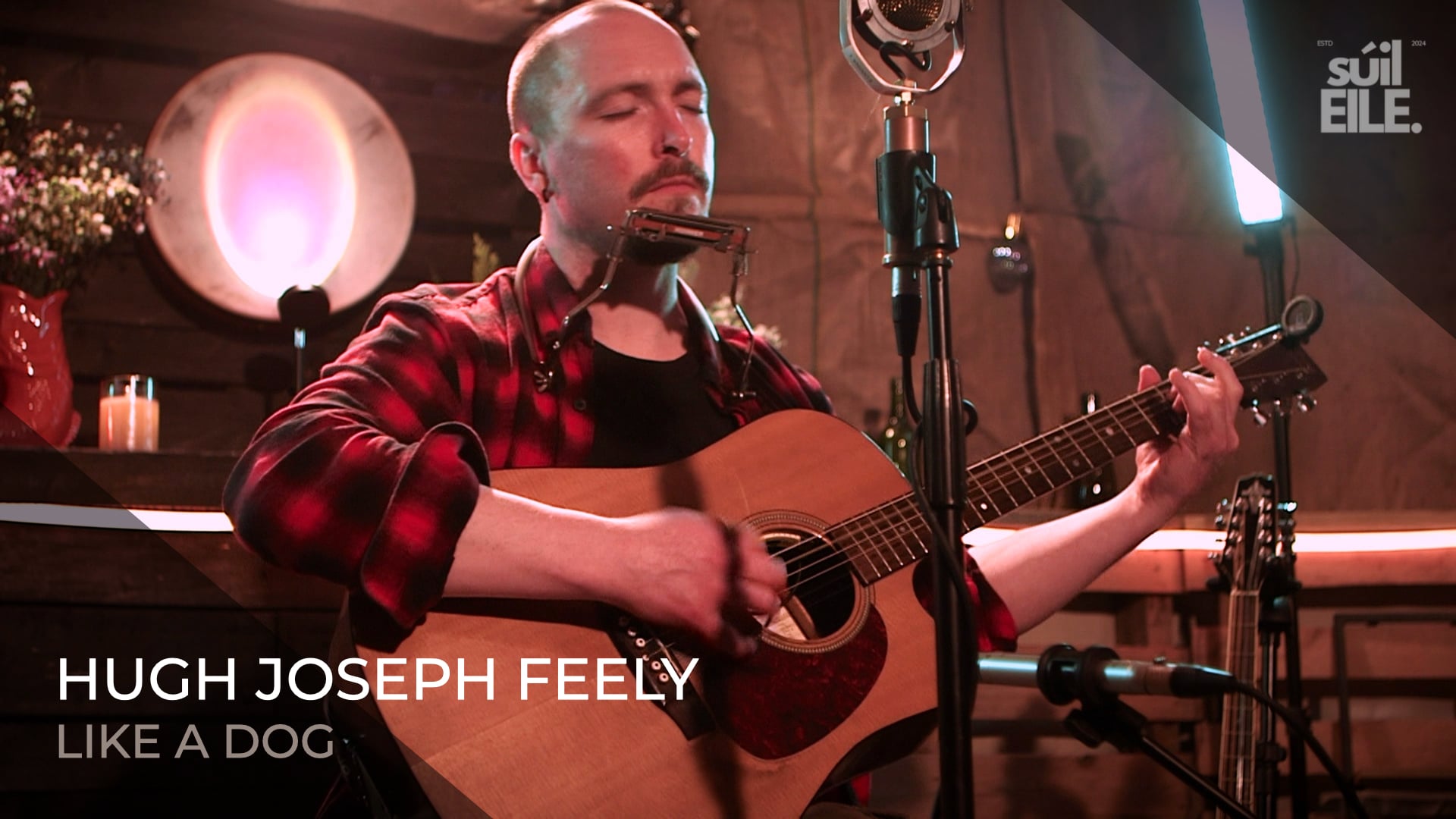 Hugh Joseph Feely - Like A Dog