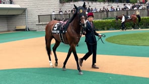 動画サムネイル
