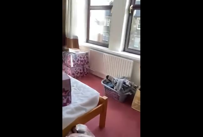 1 double bedroom in a modern, settled flat  Main Photo