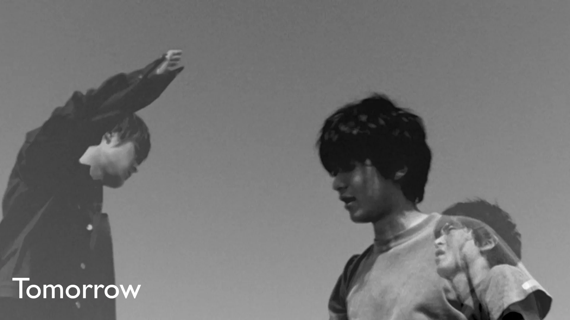 WINO – Official Site