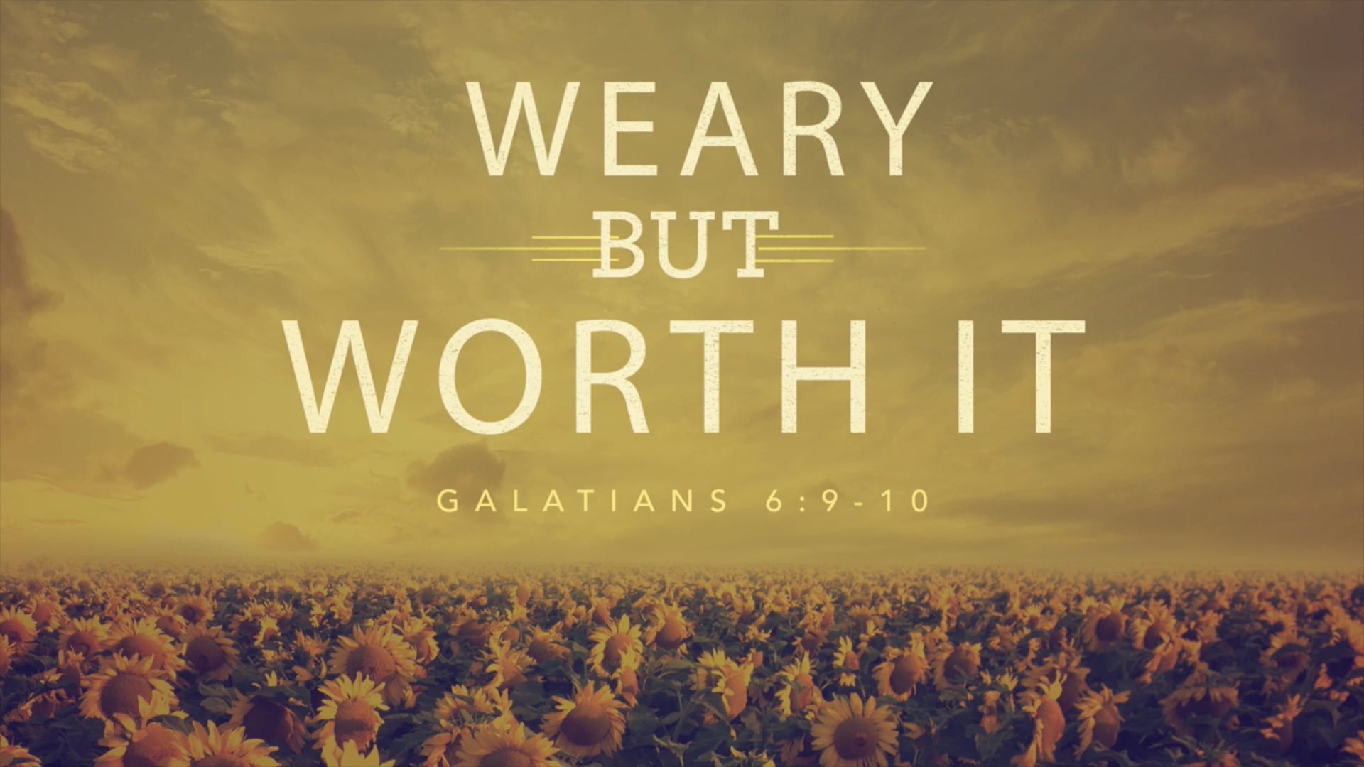 Weary but Worth It (Galatians 6:9-10)