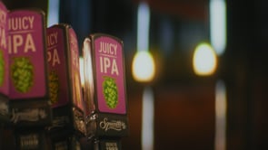 Squatter Craft Beers | Juicy