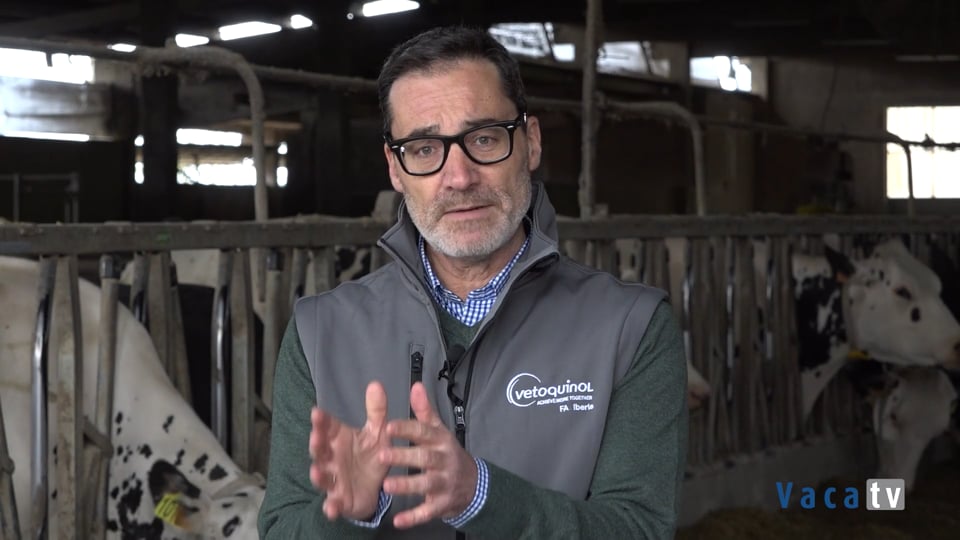 Mastatest, un método ágil para la detección de la mastitis y la implementación del tratamiento selectivo