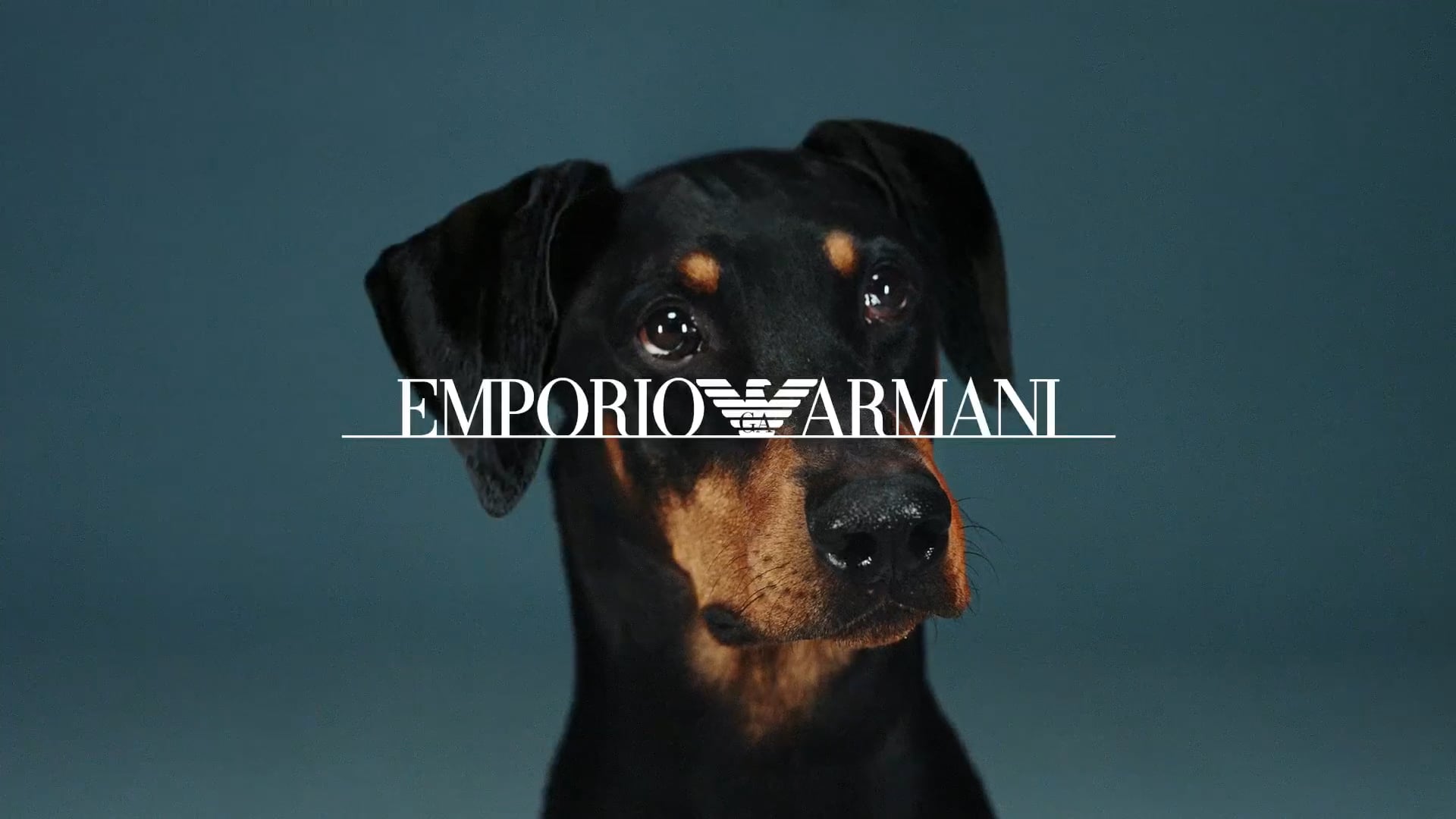 EMPORIO ARMANI x JACKSON YEE 易烊千玺