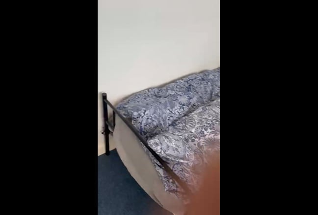 Video 1: