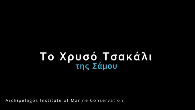 Το Χρυσό Τσακάλι της Σάμου