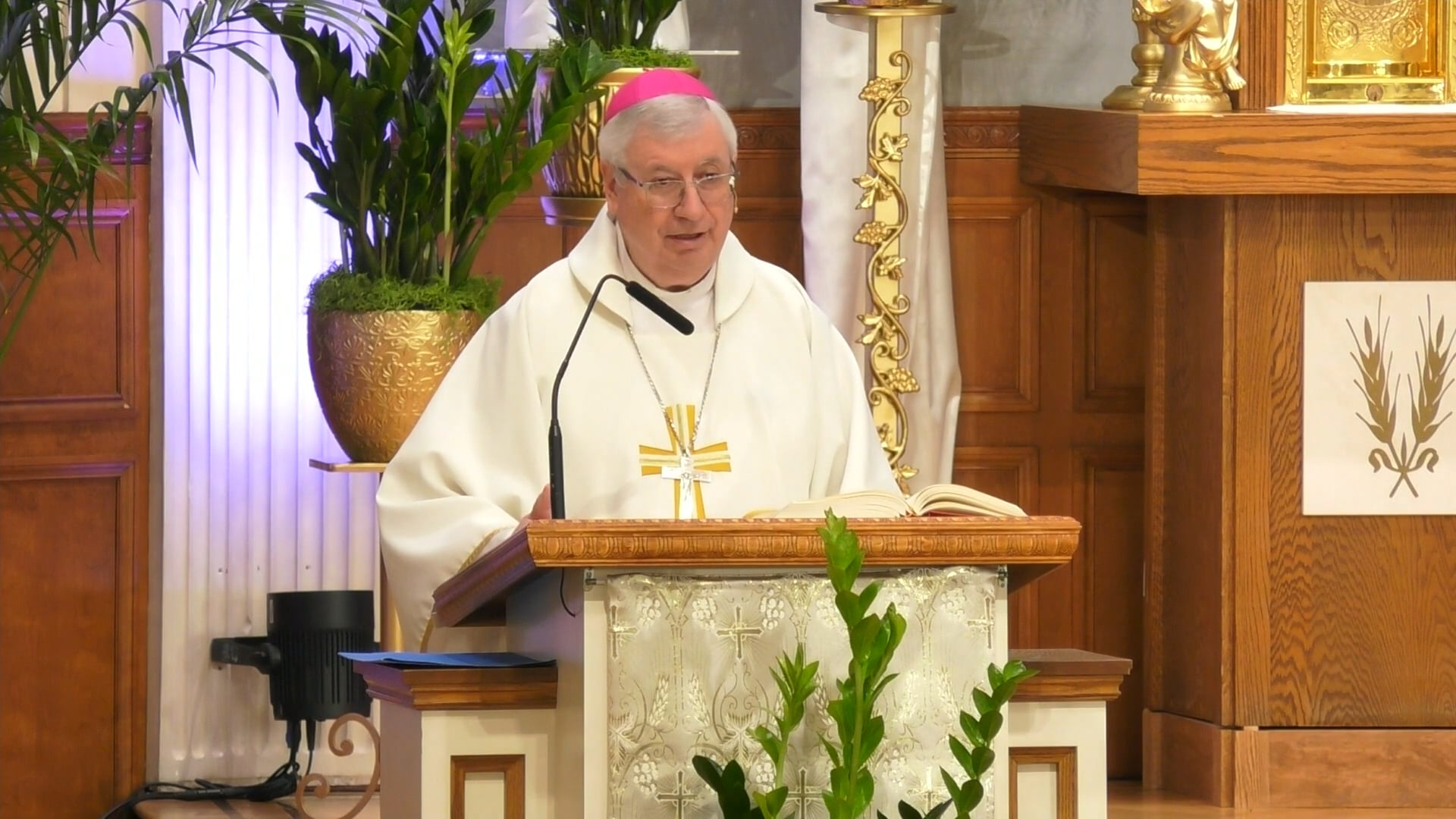Misa de Nuestra Senora de Loretto - 12 de Mayo de 2025