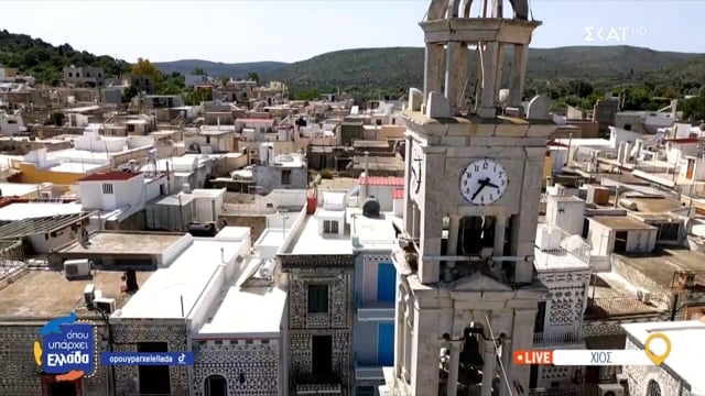 Αυτός ο σκύλος πυροβολήθηκε στο Πυργί Χίου 10-5-2025