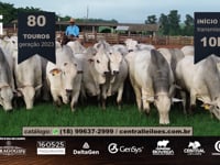 VT Comercial