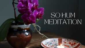 Related Embedded Video Item Thumbnail