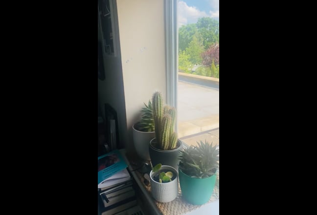 Large, bright room w_garden view in a homely house Main Photo