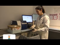 KWS inicia la nueva campaña de maíz tras desarrollar en Mouriscade casi veinte ensayos de variedades