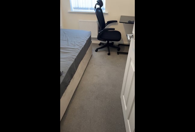 Neat Room Main Photo