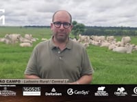 Convite João Campo<br>Leiloeiro Rural