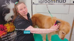 Related Embedded Video Item Thumbnail