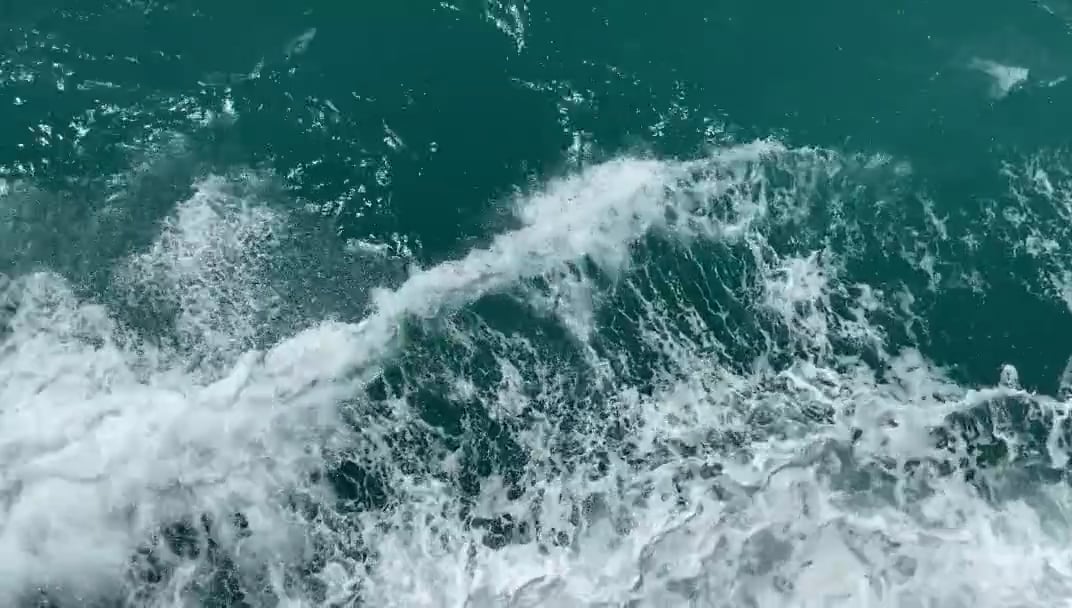 https://i.vimeocdn.com/video/2015069045-4b88c898afb6a0e7692286c355df93a7e1469d5e083d44c0775b834b88141bc7-d