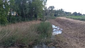 La Comunitat de Regants del Baix Ter fa neteja del Rec del Molí