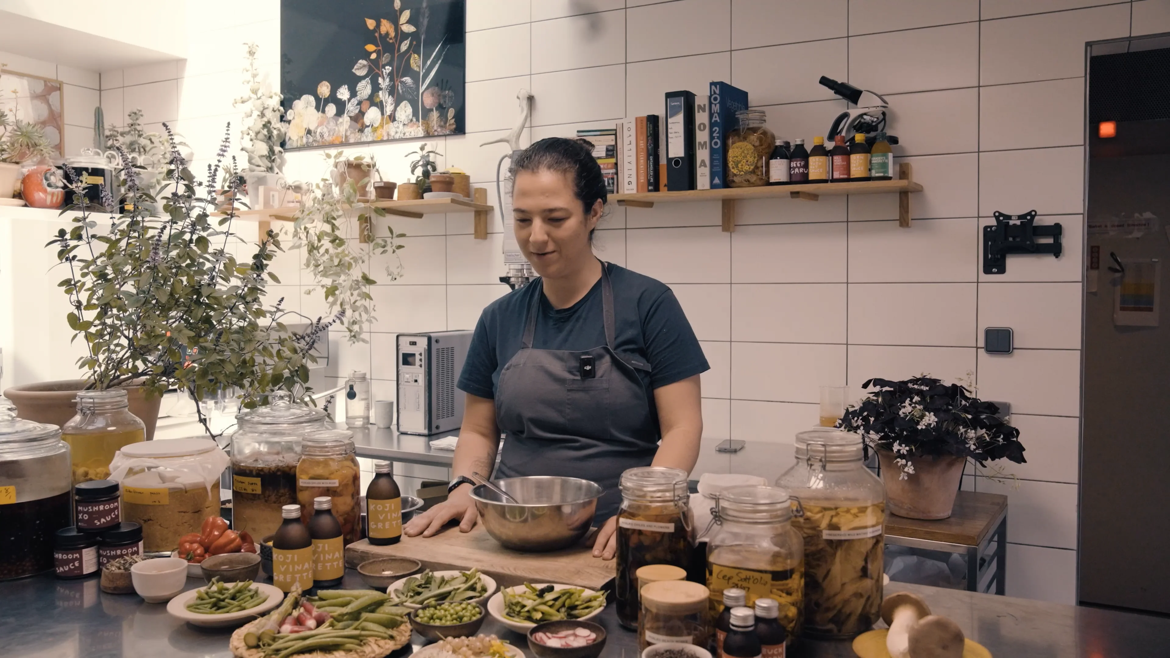 Flavor Box 2 Recipes · Noma Projects