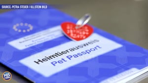 Passports For Your Pets