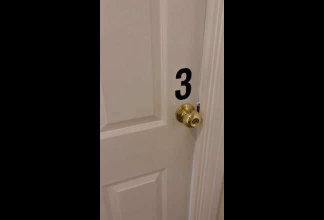 Video 1: