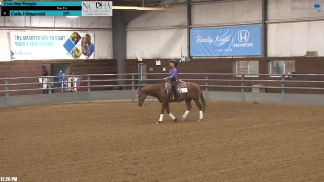 #257 Carla J Hingeveld