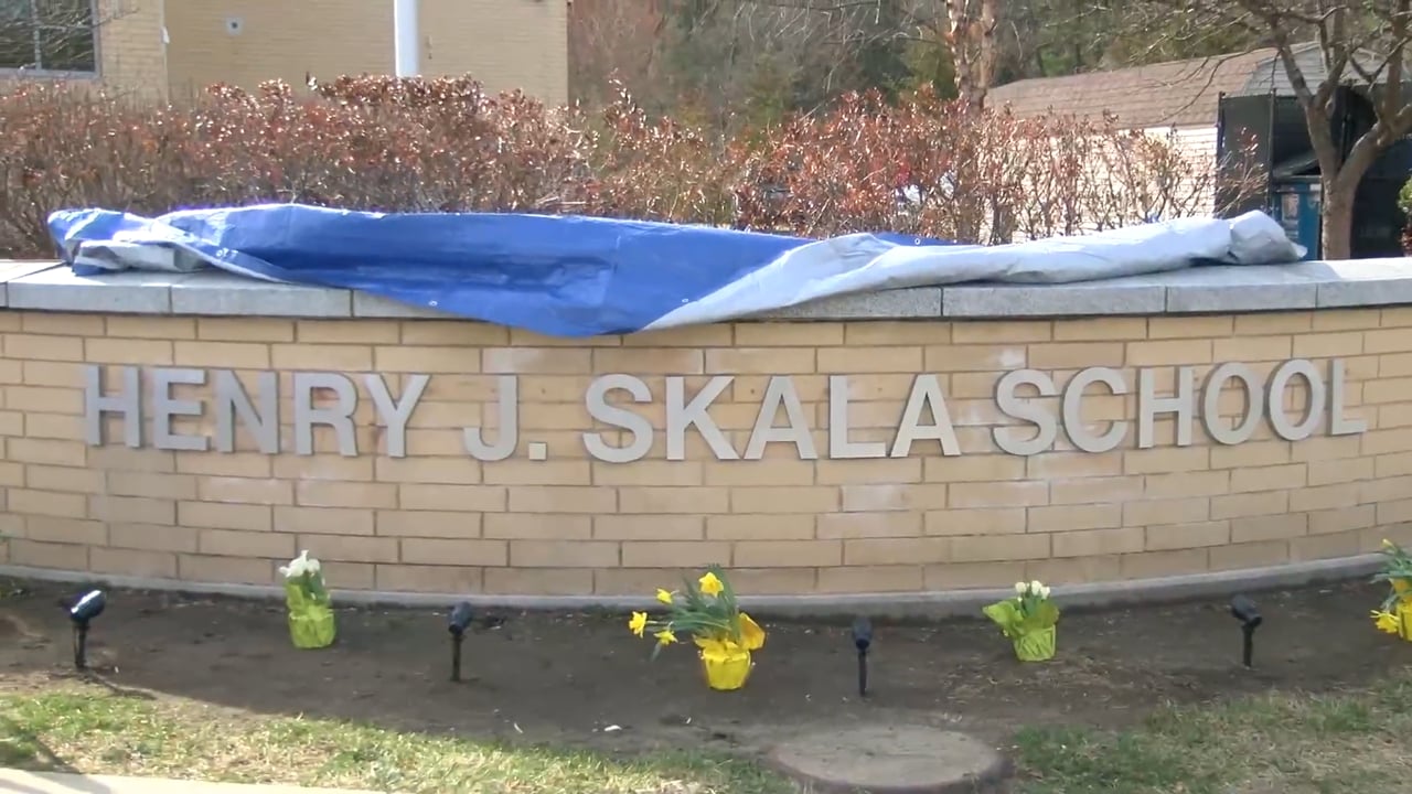 Plains School Renaming 2025:  New Henry J. Skala School