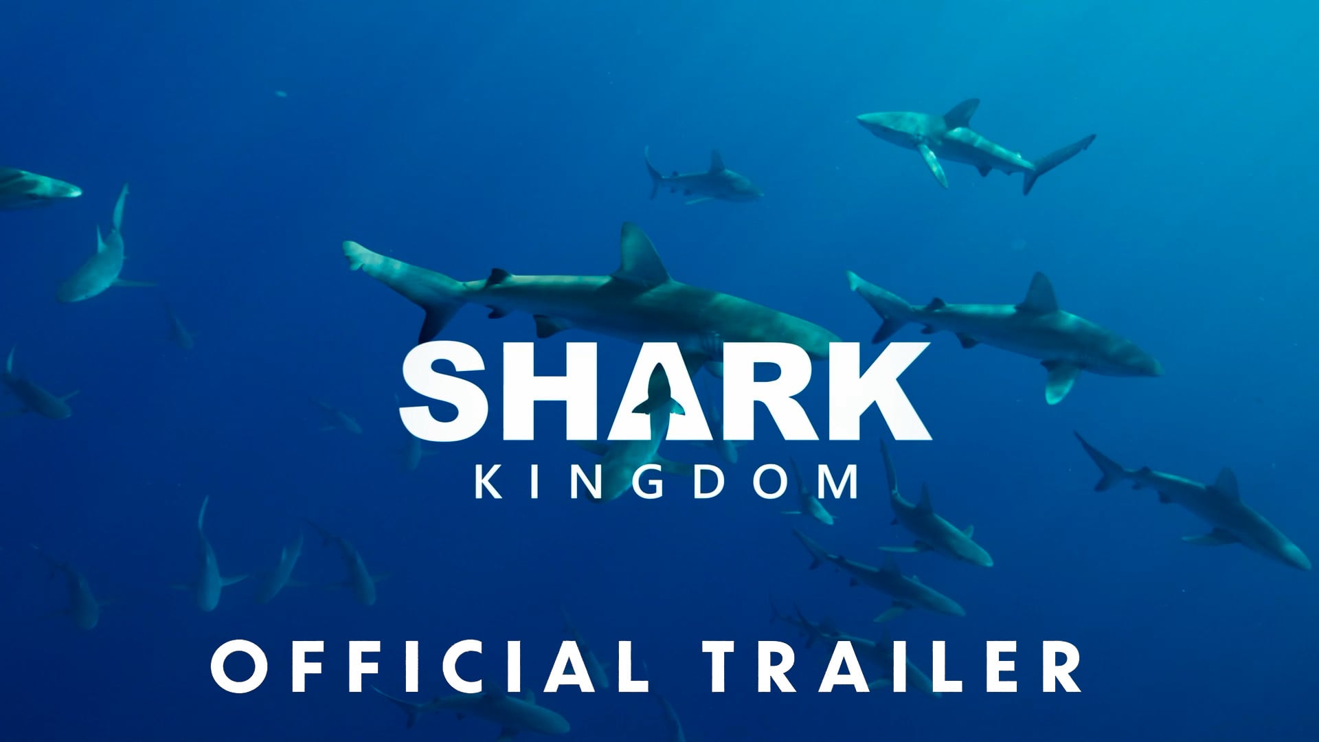 Shark Kingdom - Official Theatrical Trailer [1080]