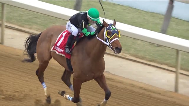 Irish Maxima | 2025 Distaff Stakes (G3) at Aqueduct
