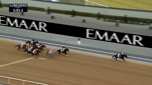 Raging Torrent | 2025 Godolphin Mile (G2) at Meydan