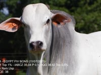 Lote 30